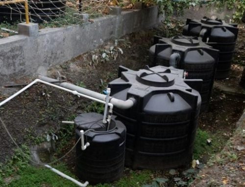 Menuju Desa Rendah Karbon: Tarumajaya Sulap Limbah Jadi Energi