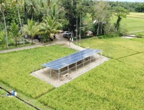 Menuju Desa Rendah Karbon: Membangun Masa Depan yang Berkelanjutan dari Desa